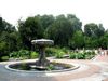 The Brooklyn Botanic Garden